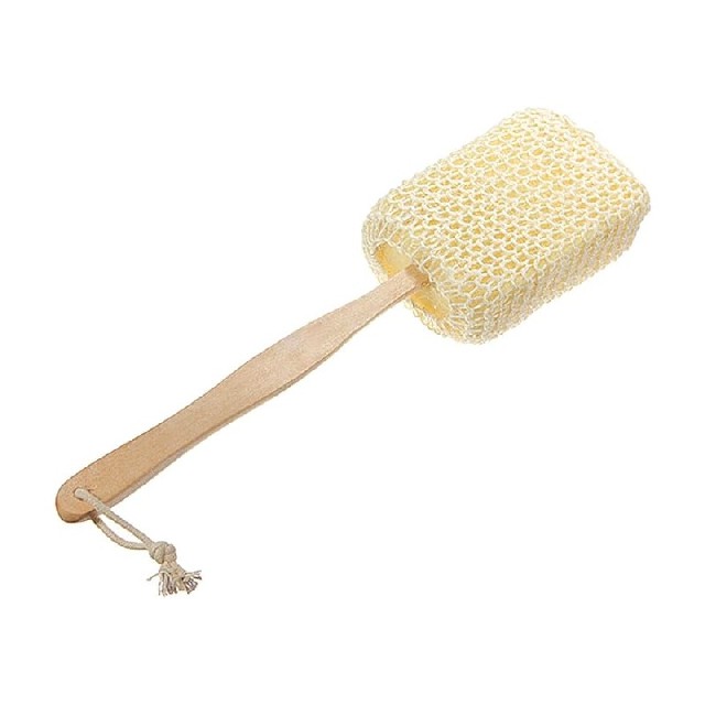ESPONJA VEGETAL CON MANGO