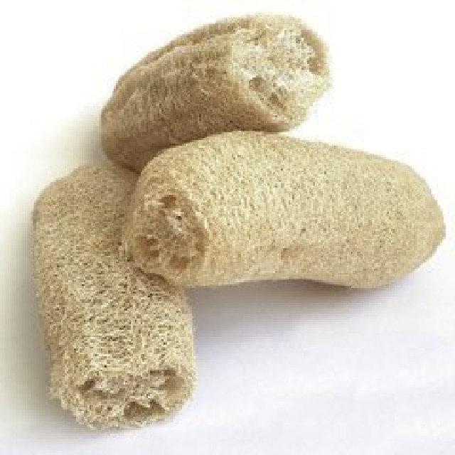 ESPONJA VEGETAL