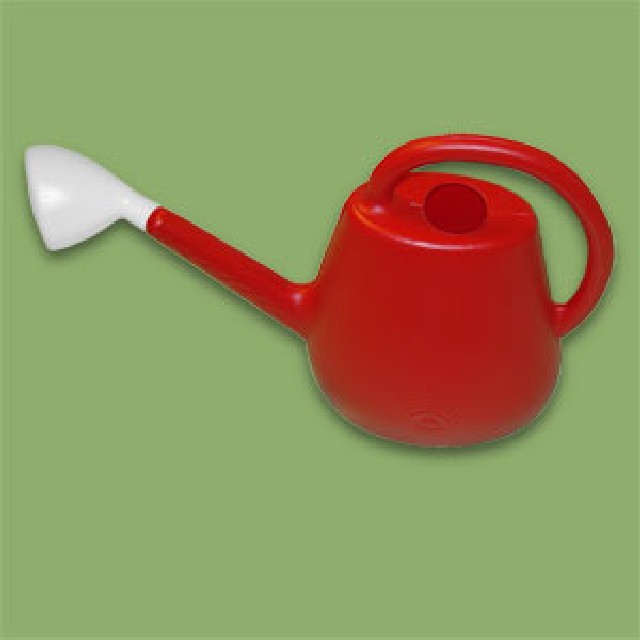 REGADERA PLASTICA 2 L